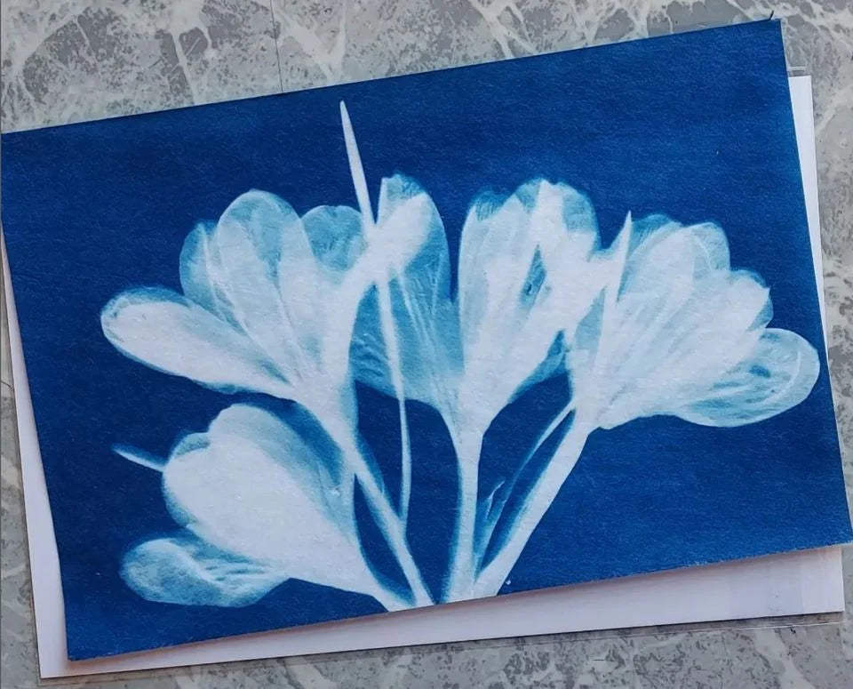 Cyanotype: The Art of Sun Printing | July 11 - 12, 2026