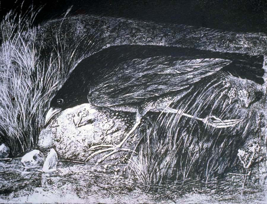 Modern Gravure - Etching with Light and Water | April 4 - 5, 2026