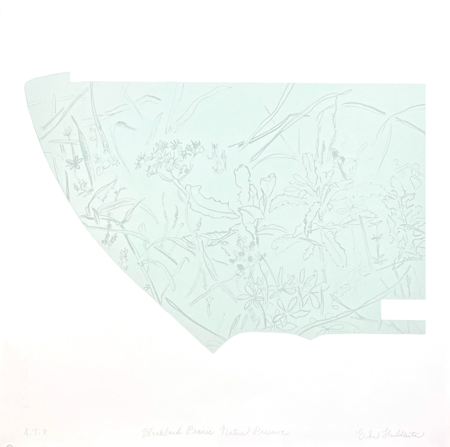 Huddleston, Erika "Blackland Prairie Nature Preserve"