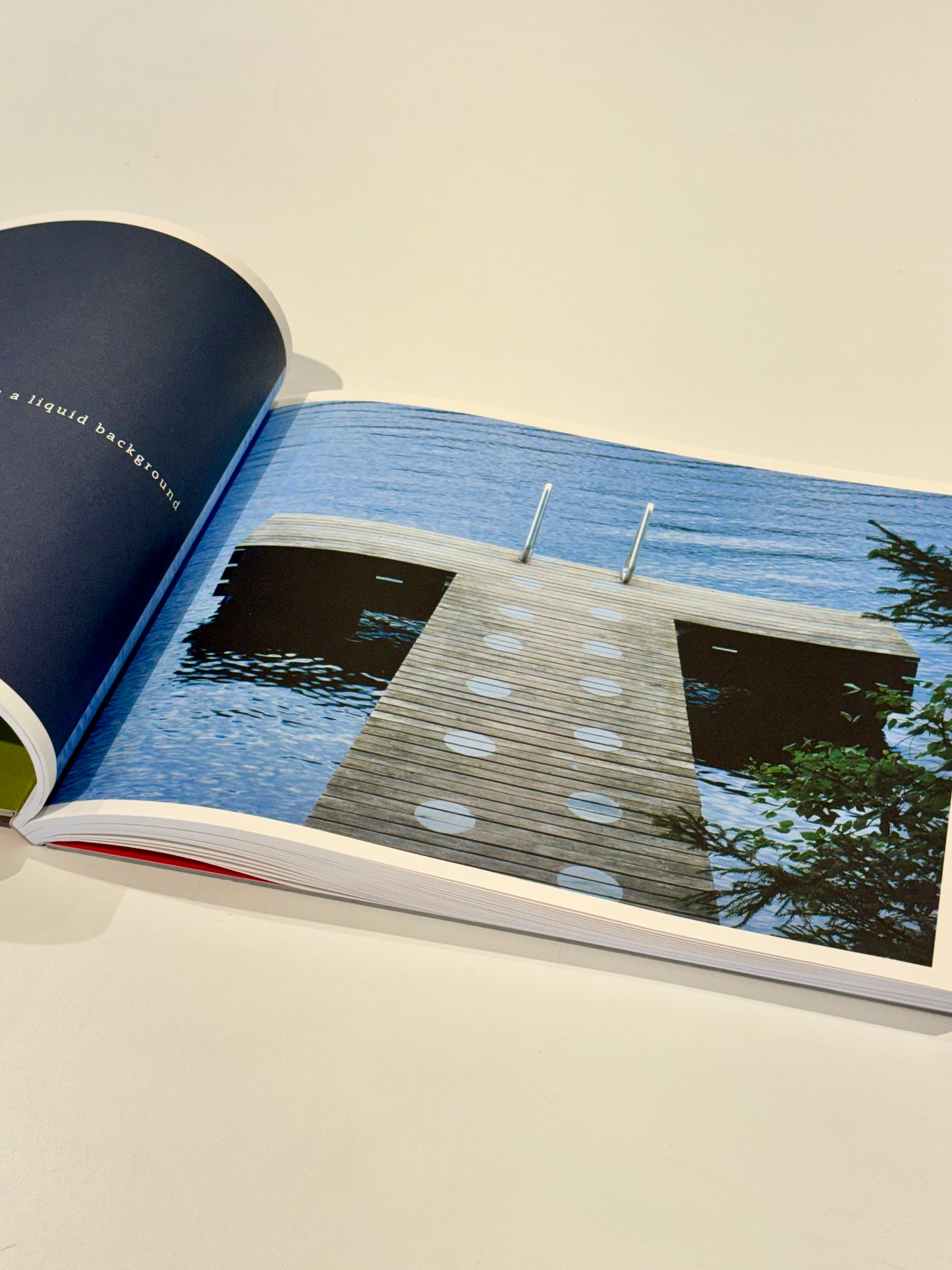 Common Language: Punctuating the Landscape - Suzi Davidoff and Rachelle Thiewes