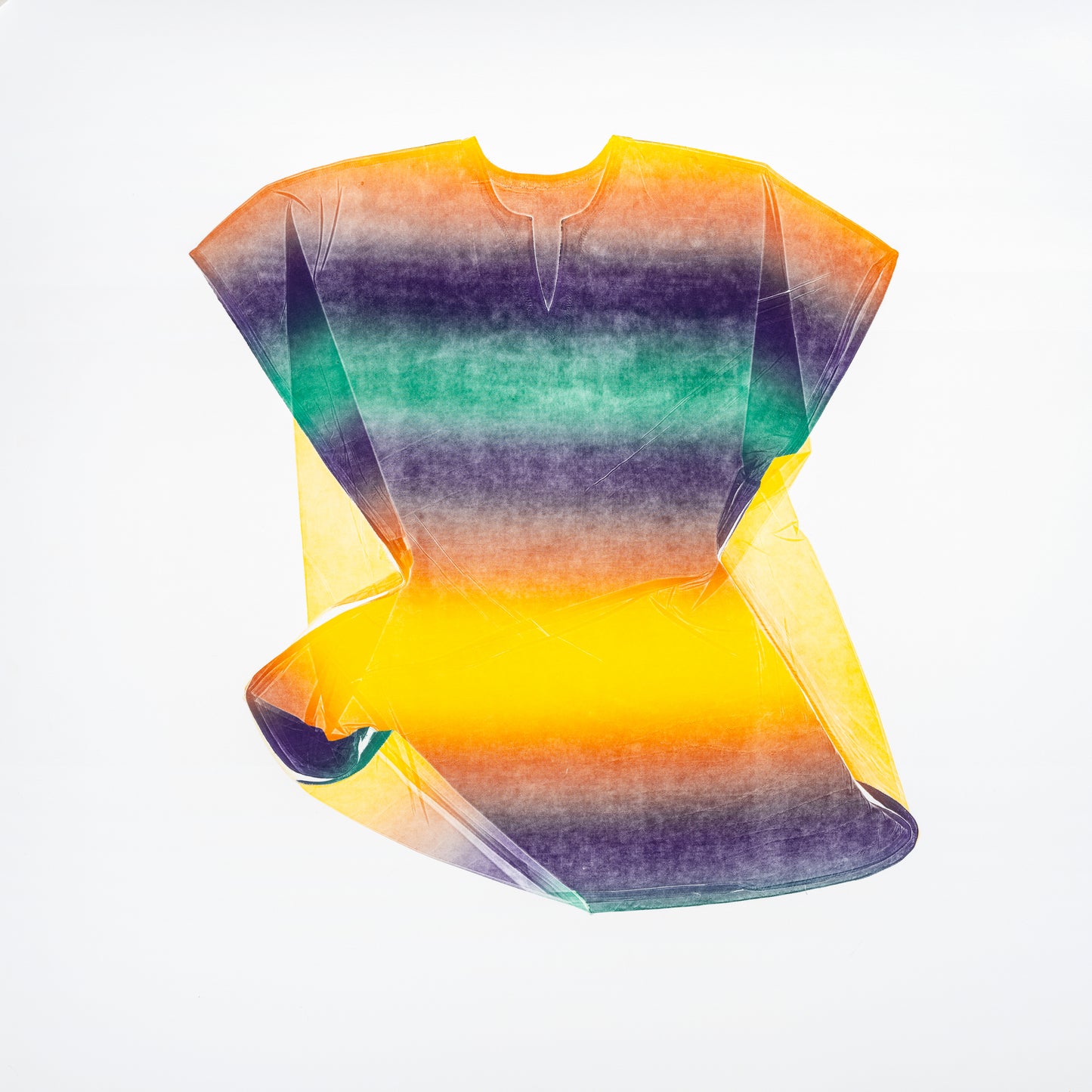 Hawley, Kyle "Sometimes a Tunic, Sometimes Butterfly Wings I"