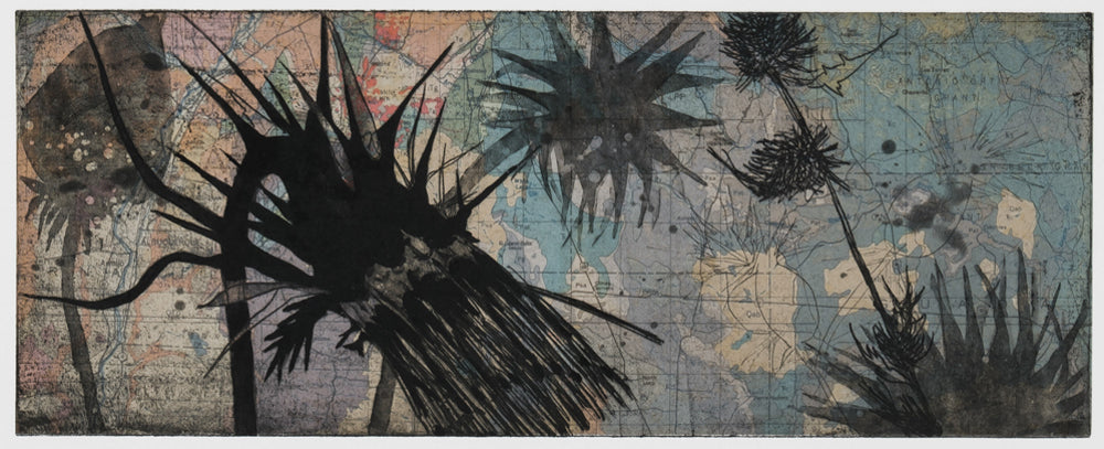 Suzi Davidoff * "New Mexico Geology | Sacramento Mountain Thistle"