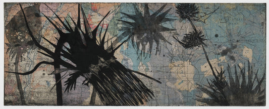Suzi Davidoff * "New Mexico Geology | Sacramento Mountain Thistle"