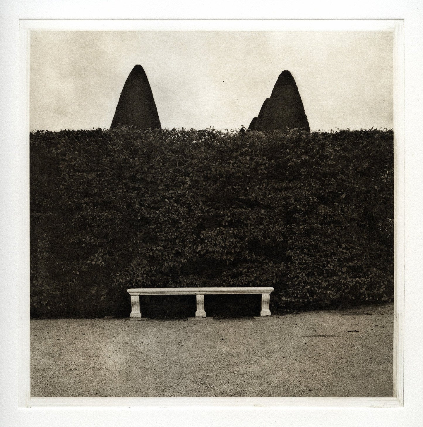The Inky Photographer: Polymer Photogravure - October 19-20, 2024