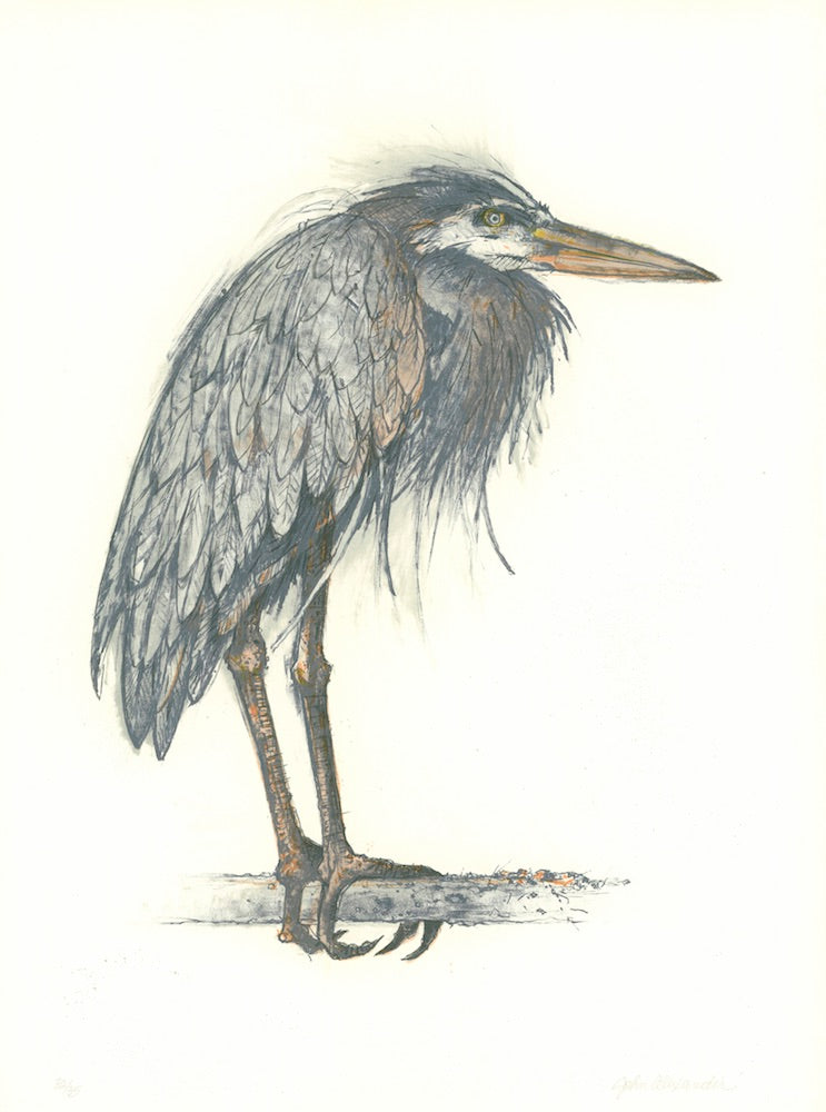 Alexander, John "Angry Heron"