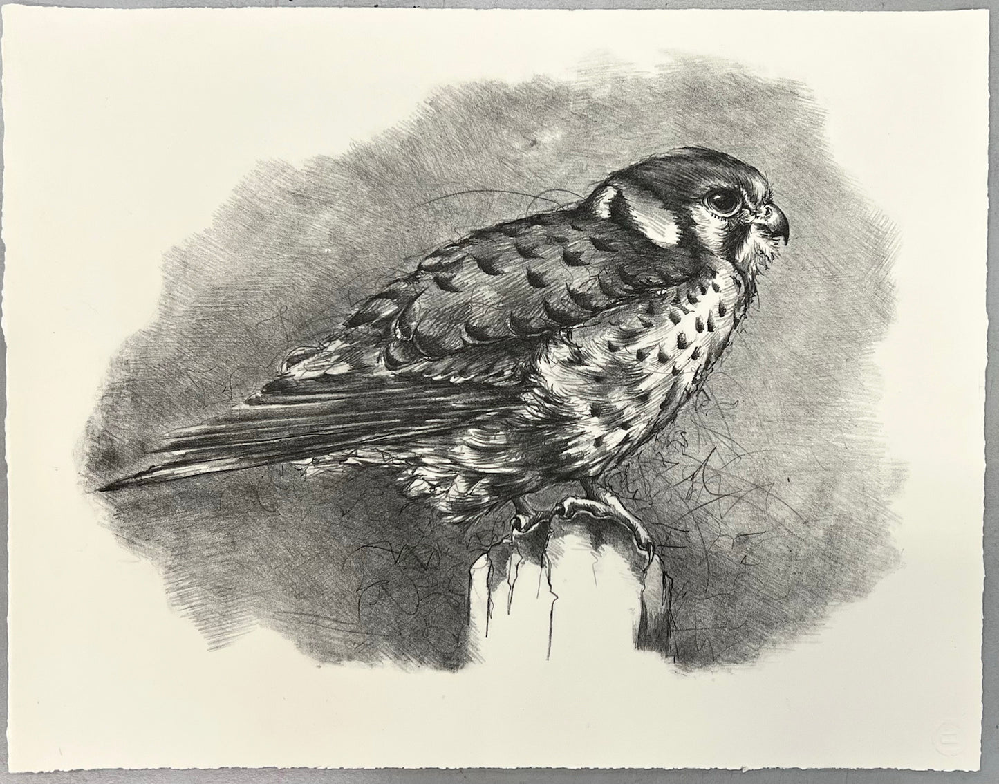 Anderson, Jennifer * "In the Pearl Grey Mist"