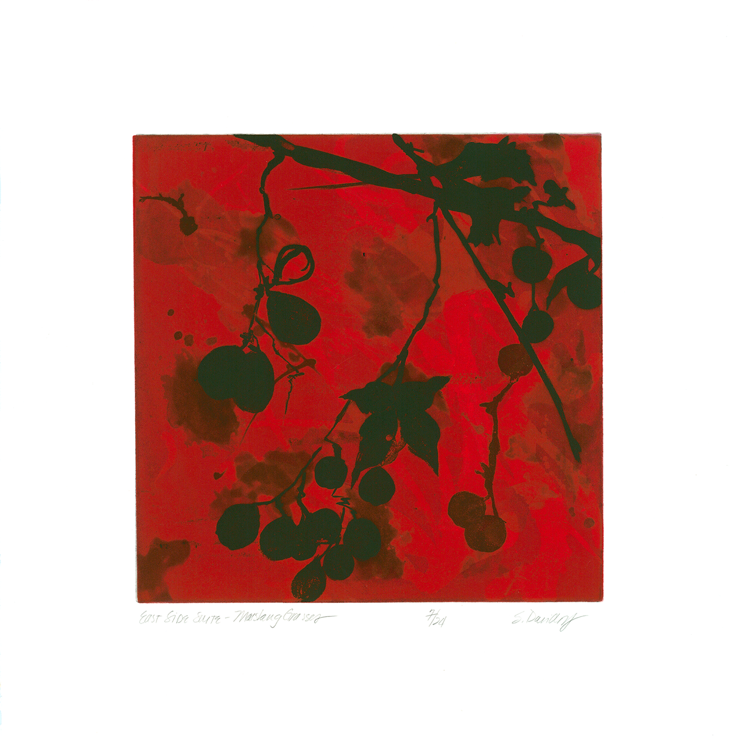 Davidoff, Suzi * "East Side Suite - Mustang Grapes"