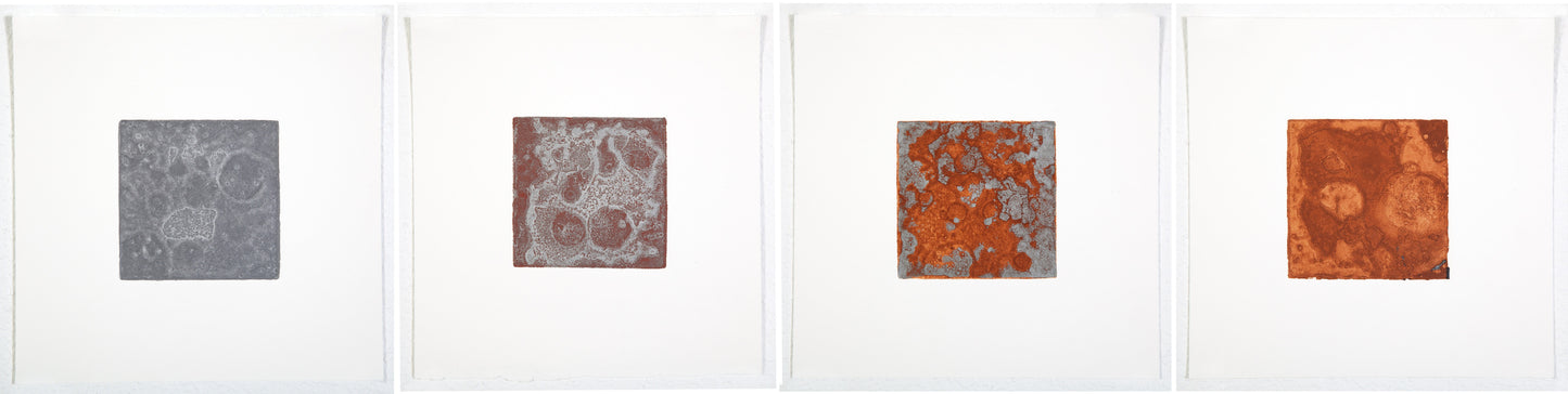 Degradation Study 3 A,B,C & D from Fire Etching Suite