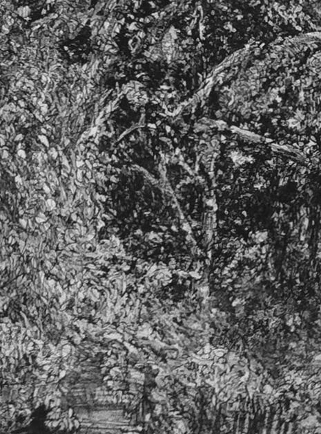 Cobb, John • "The Thrasher Place"