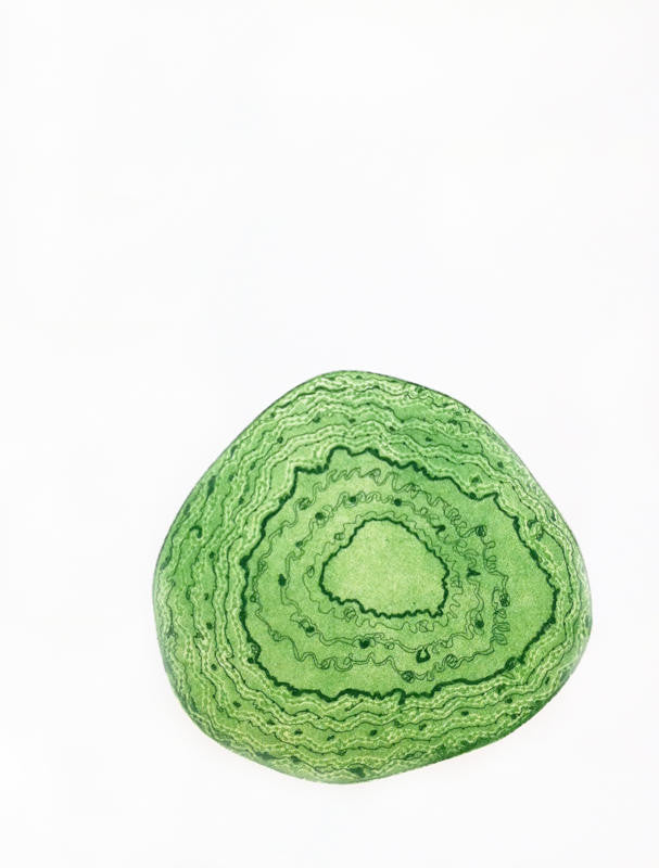Fernandez, Sandra "Cellular Memory I"