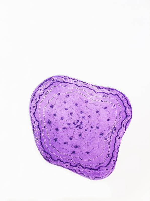 Fernandez, Sandra "Cellular Memory V"