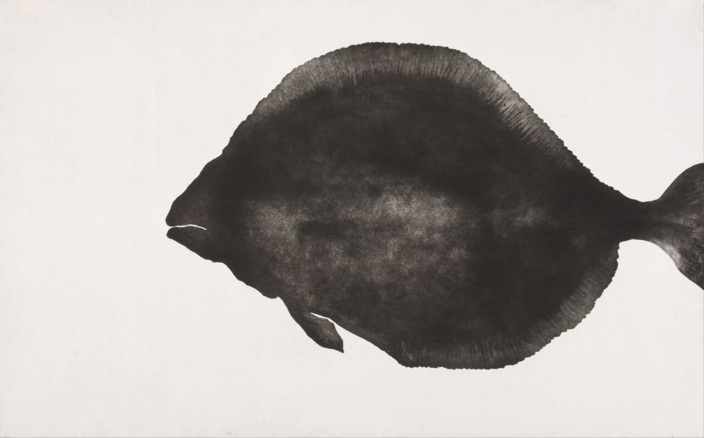 Cosmic Fish