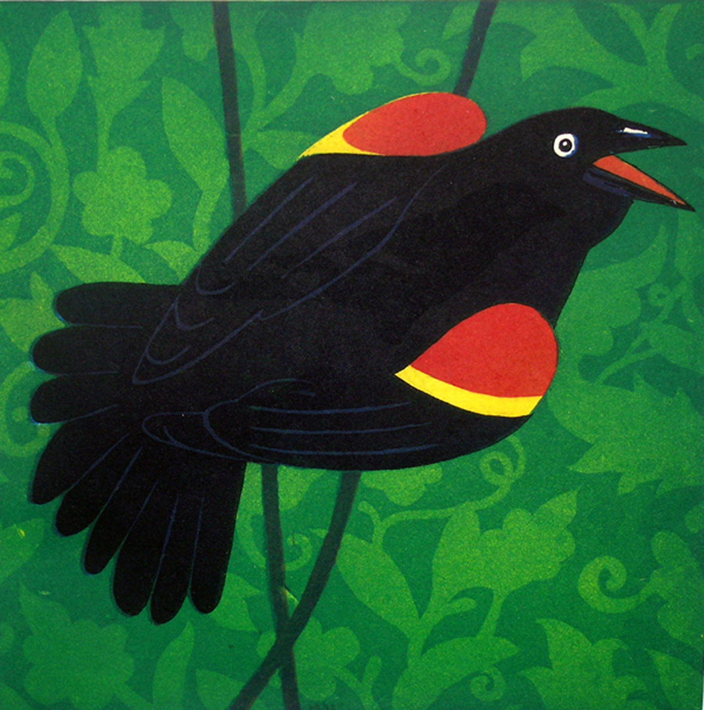 Red Winged Black Bird