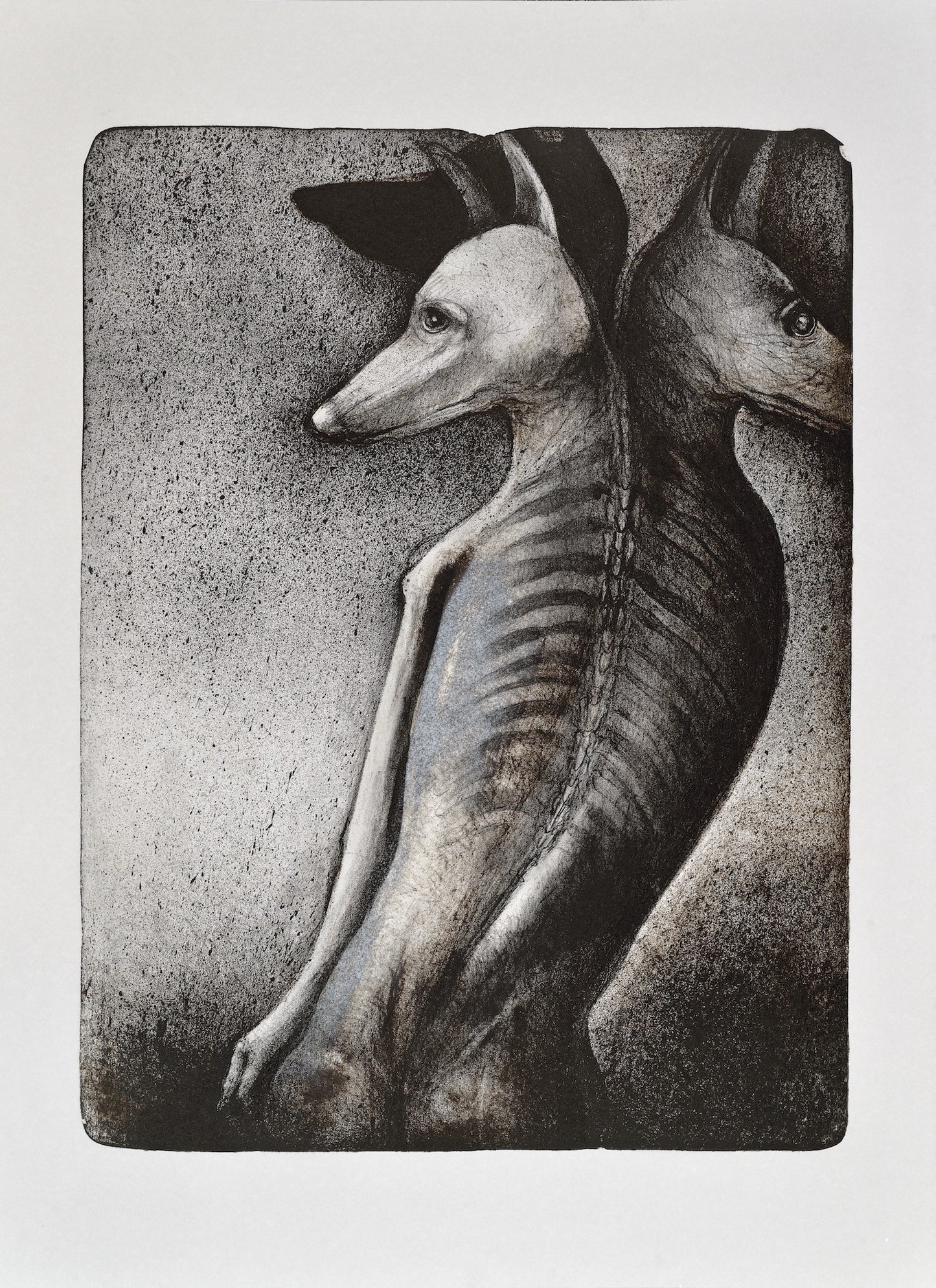 Kopriva, Sharon • "Cerberus in Transition"