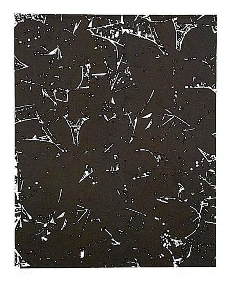 Scholder, Larry "Flora"