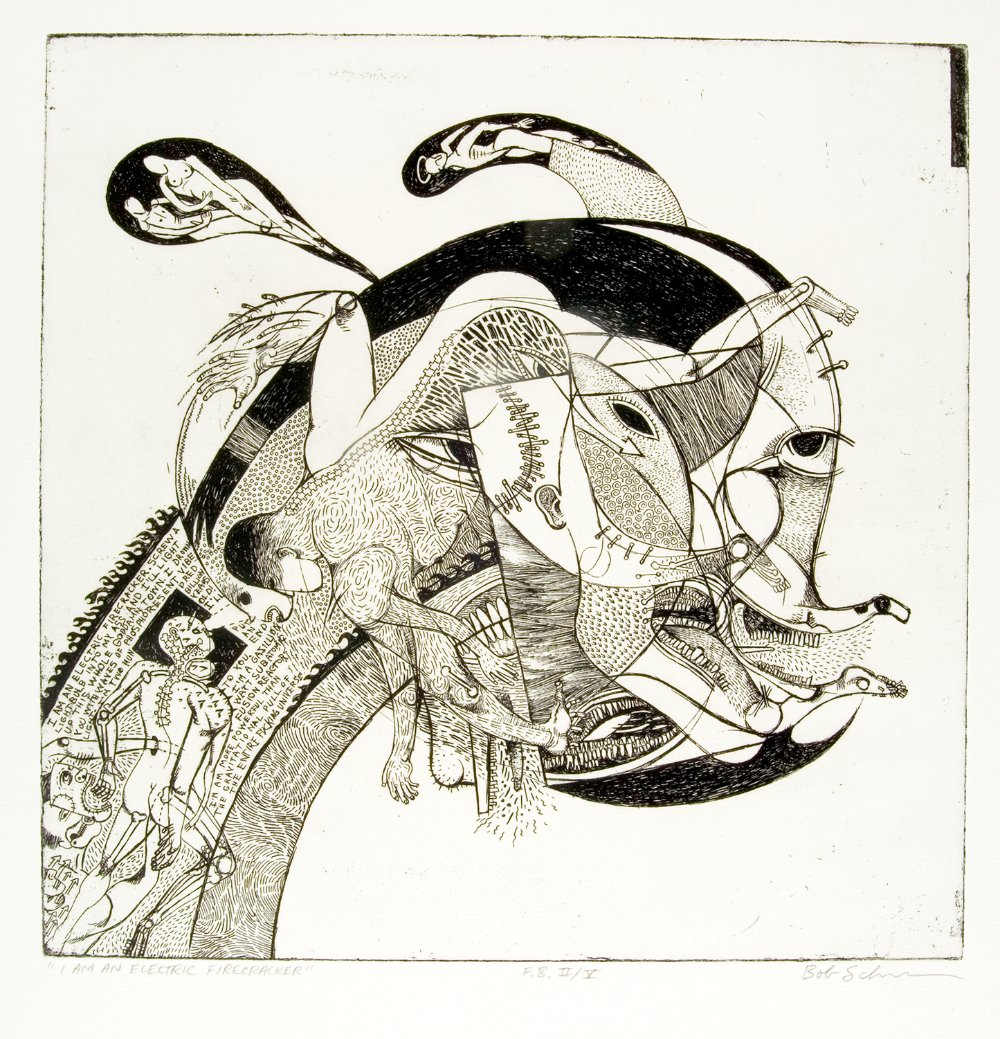 I Am An Electric Firecracker