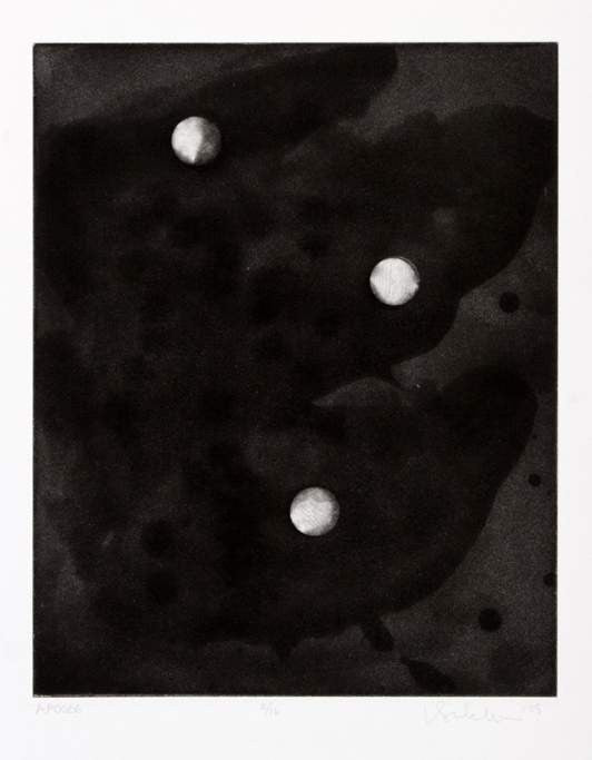 Scholder, Larry "Apogee"