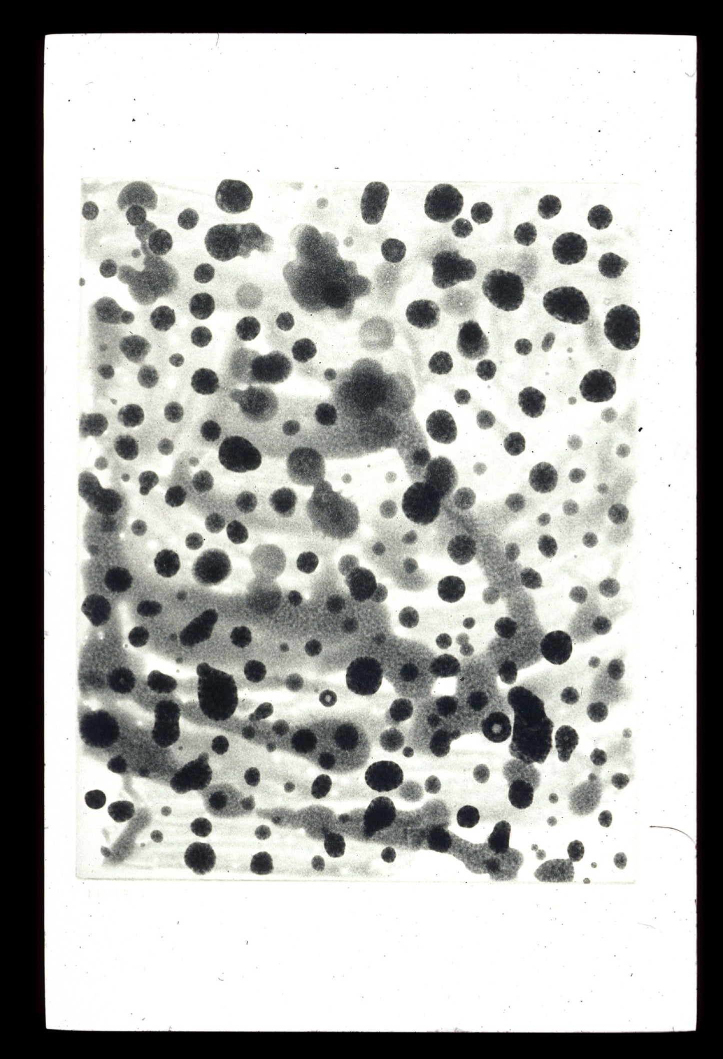 Scholder, Larry "Pluto I"