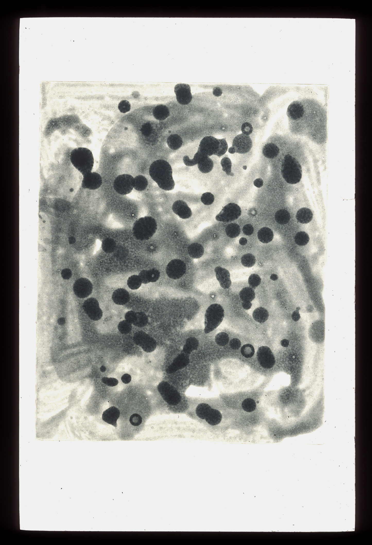 Scholder, Larry "Pluto II"