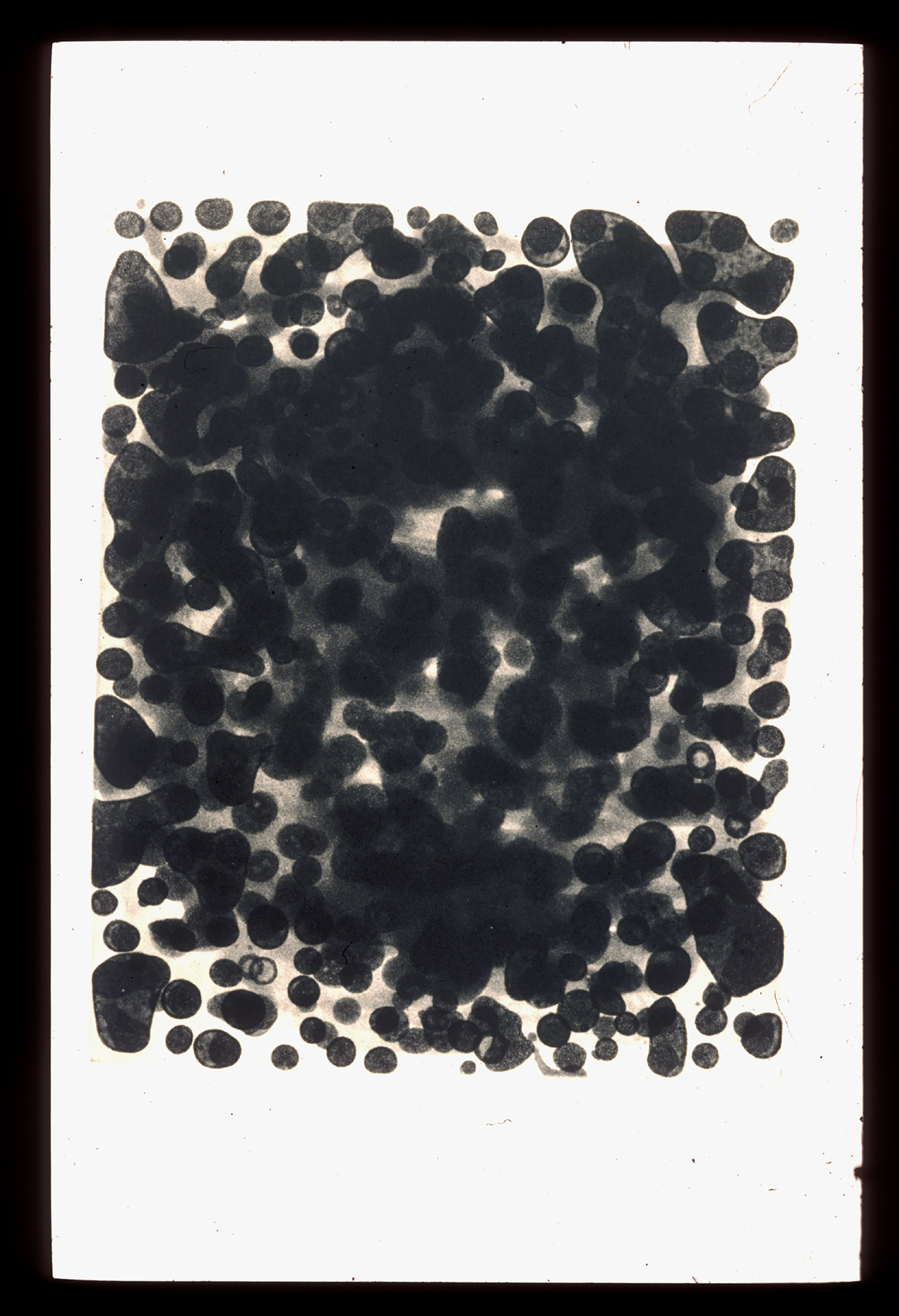 Scholder, Larry "Pluto III"