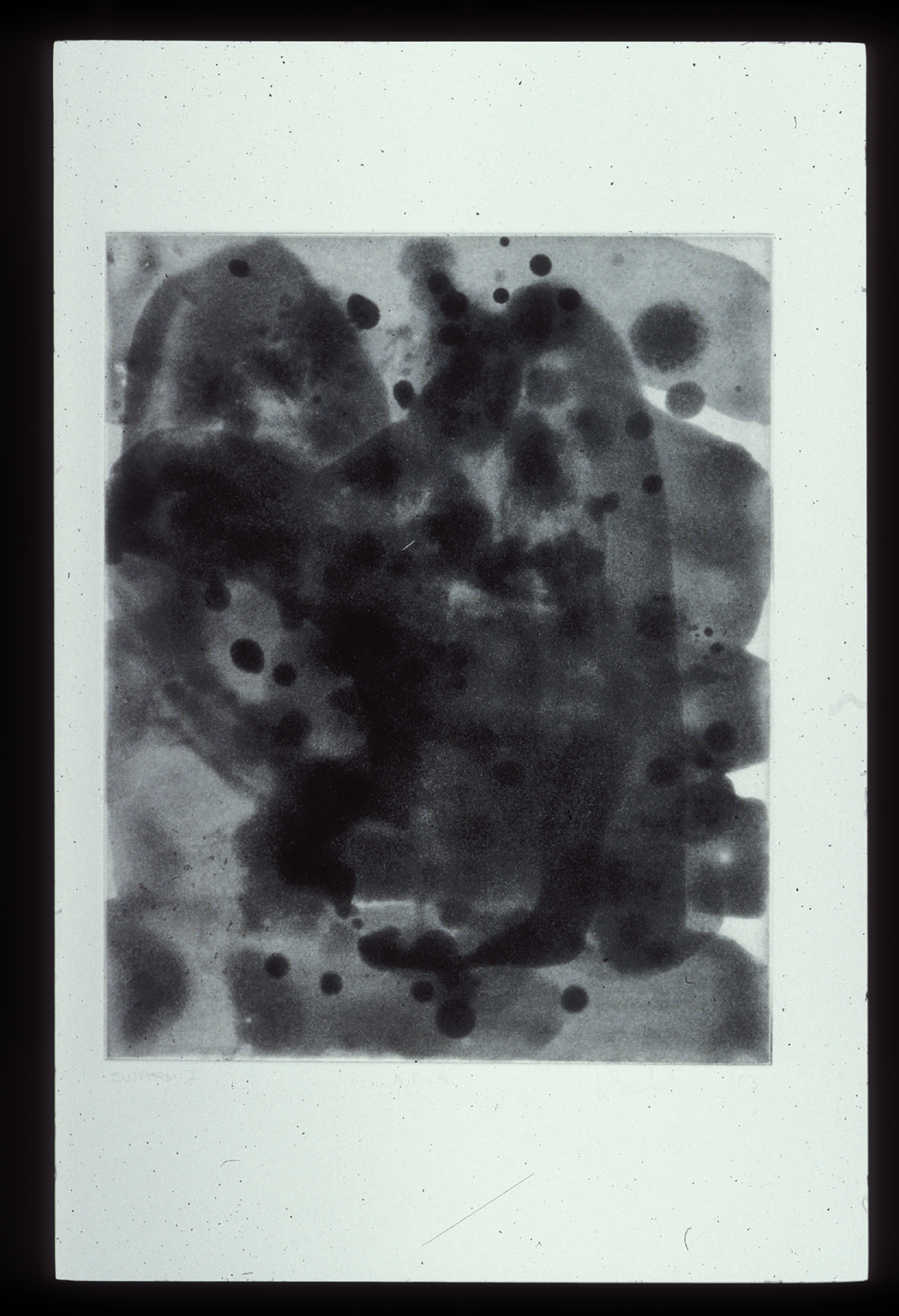 Scholder, Larry "Swarm I"