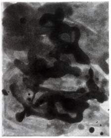 Scholder, Larry "Swarm IV"