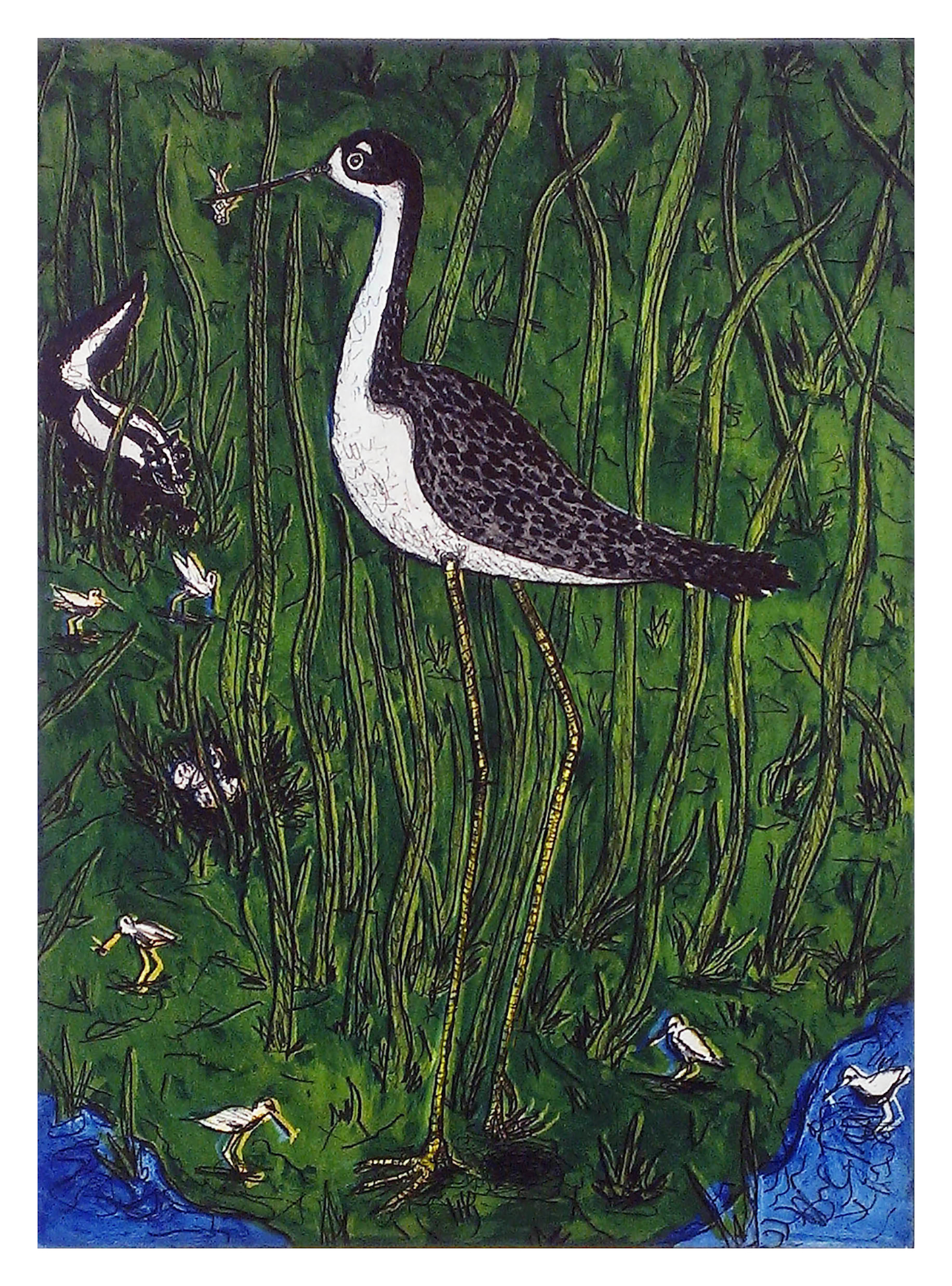 Tolbert 2, Frank X. "Black Necked Stilt"