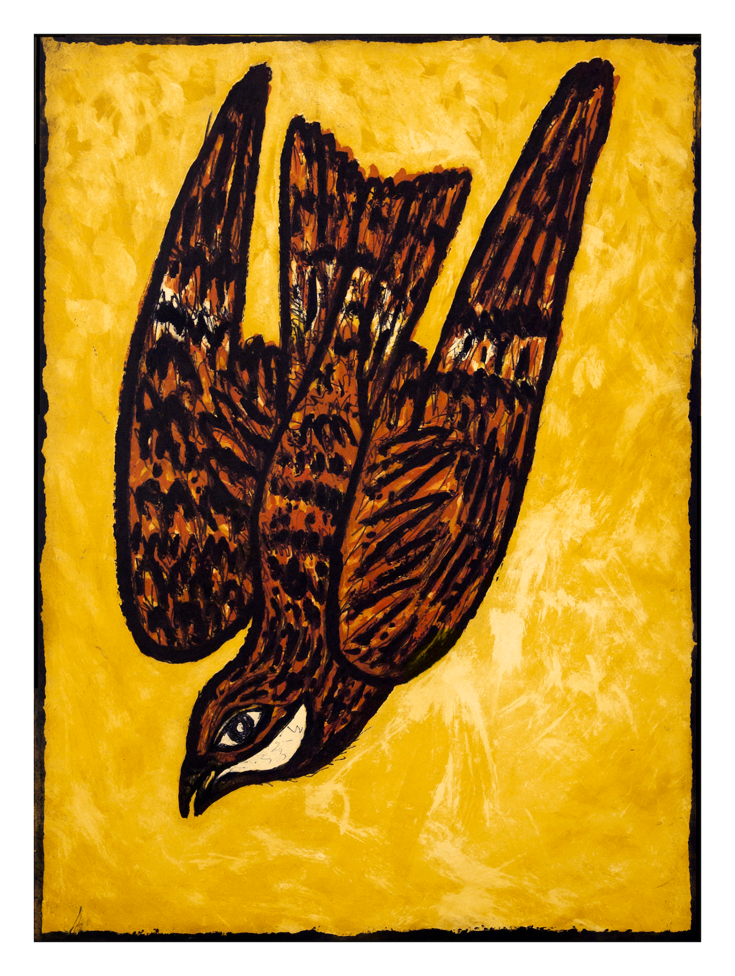 Tolbert 2, Frank X. "Chicken Hawk"