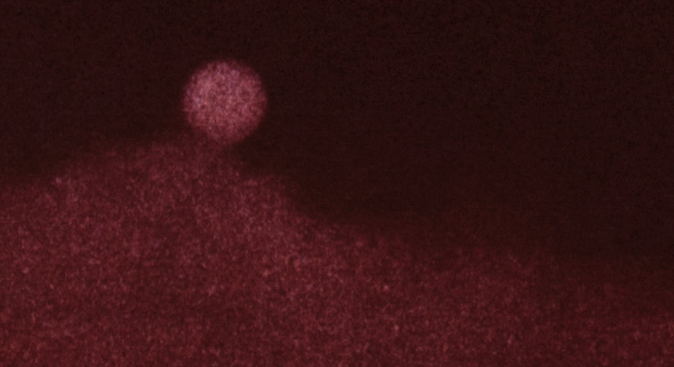 Williams, Danny * "City Light"