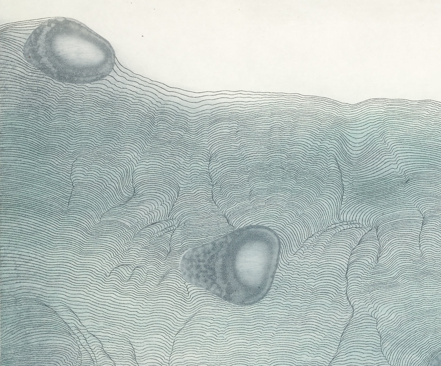 Ward, Liz • "Ice Core"