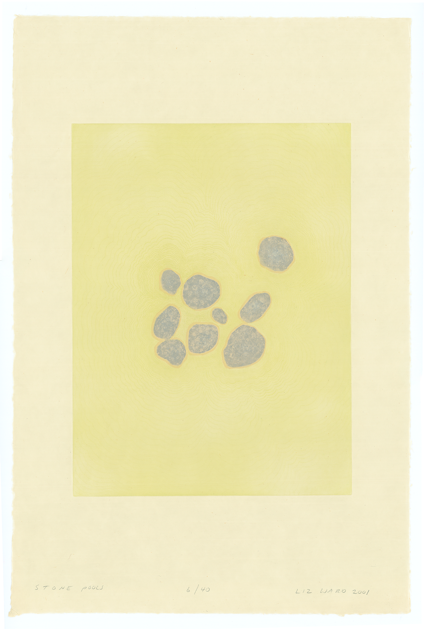 Ward, Liz "Stone Pools"