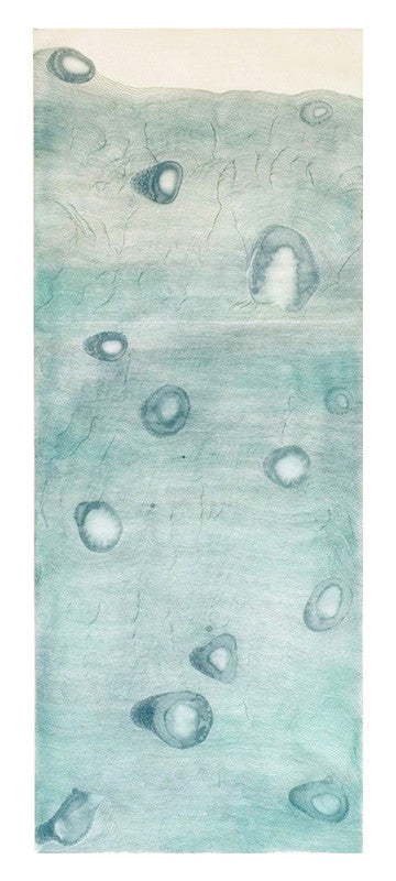 Liz Ward's New Prints in San Antonio Review