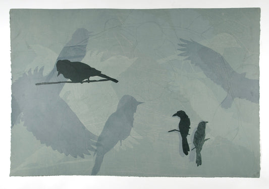 Vanishing Avians - Drawings and Monotypes by Suzi Davidoff