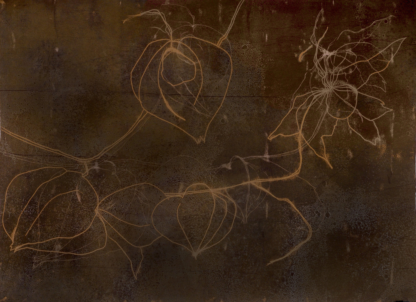 The Art of the Layered Monotype | APRIL 18 - 19