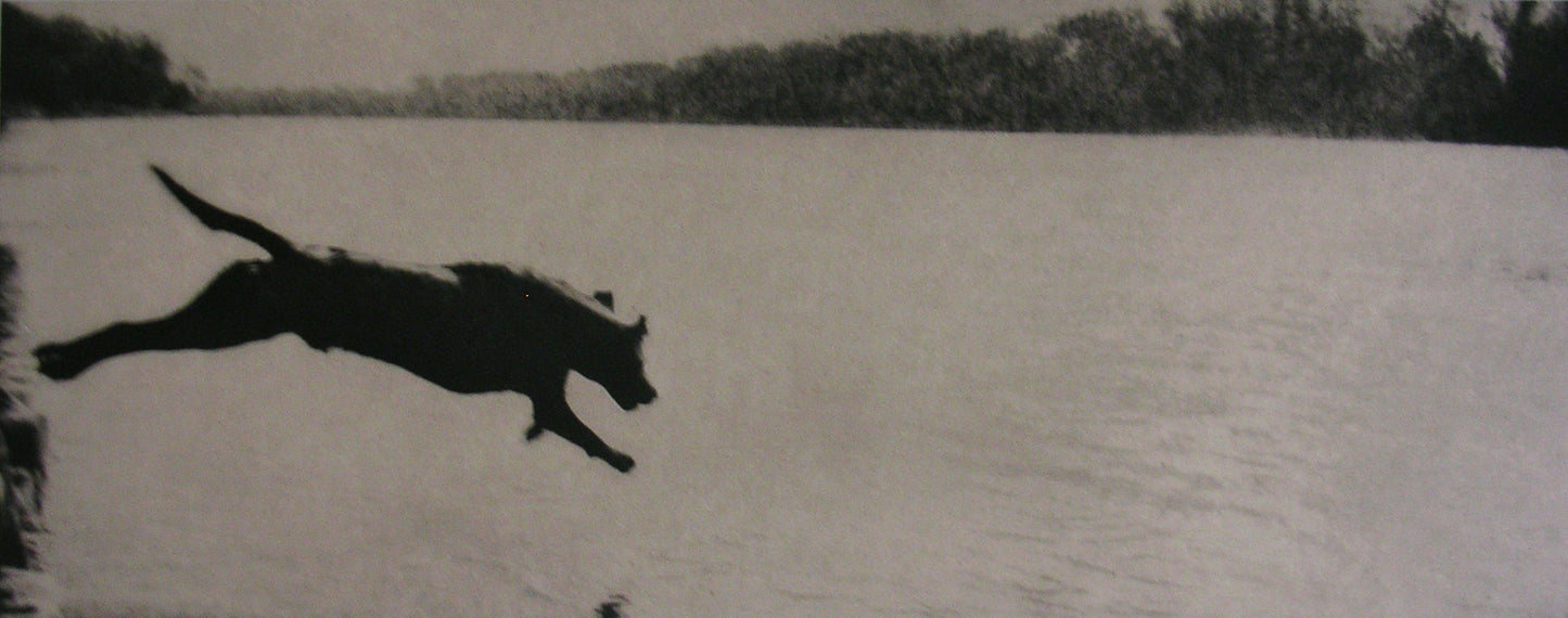 Fagan, Dennis  *  River Dog