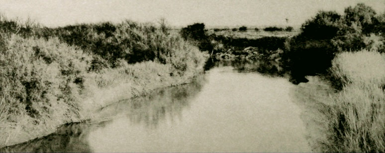 Fagan, Dennis  * River/Swallow