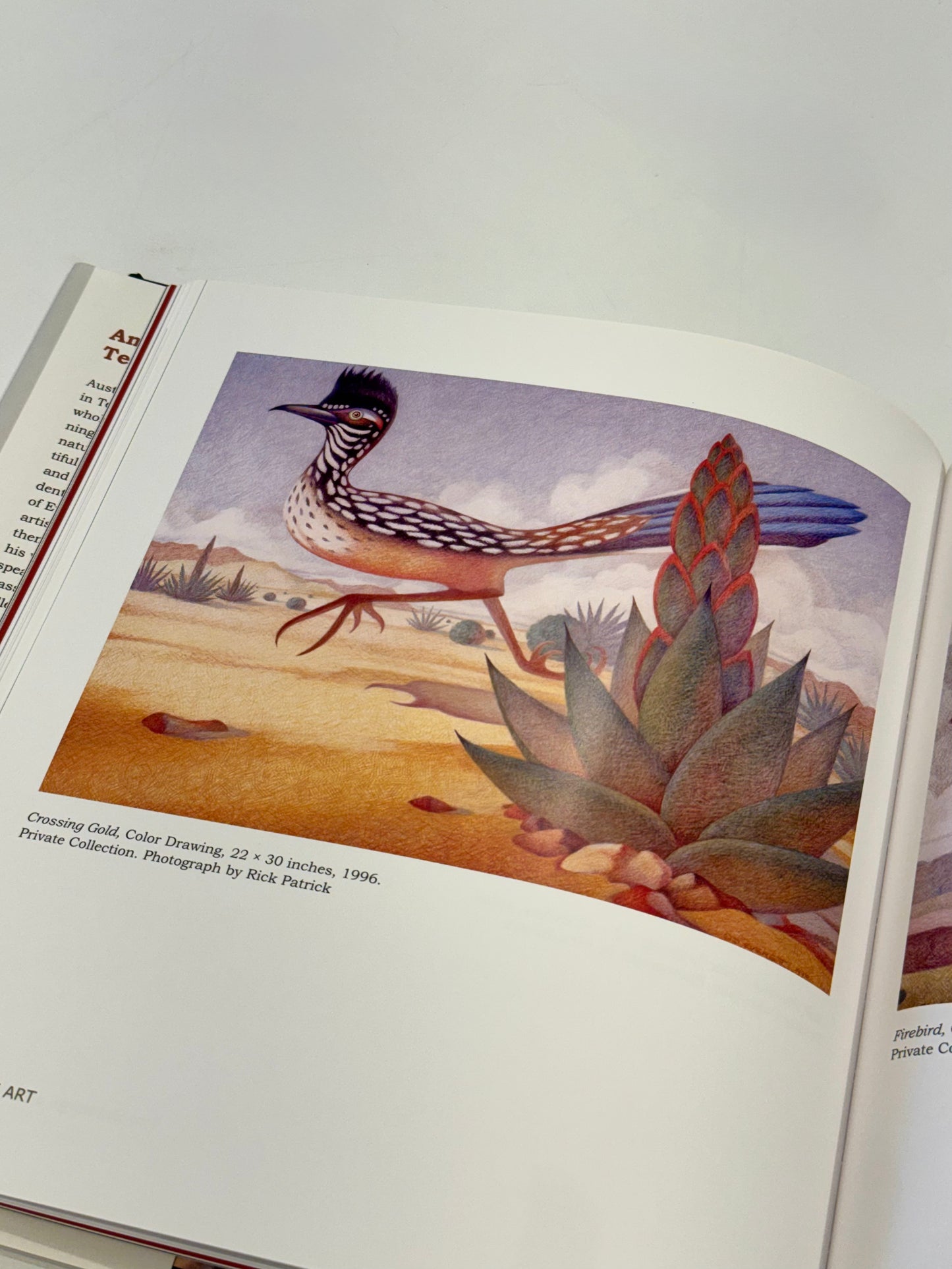 Another World: The Art of David Everett