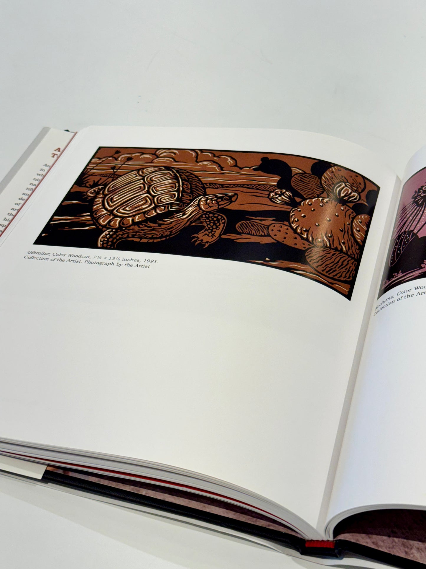 Another World: The Art of David Everett