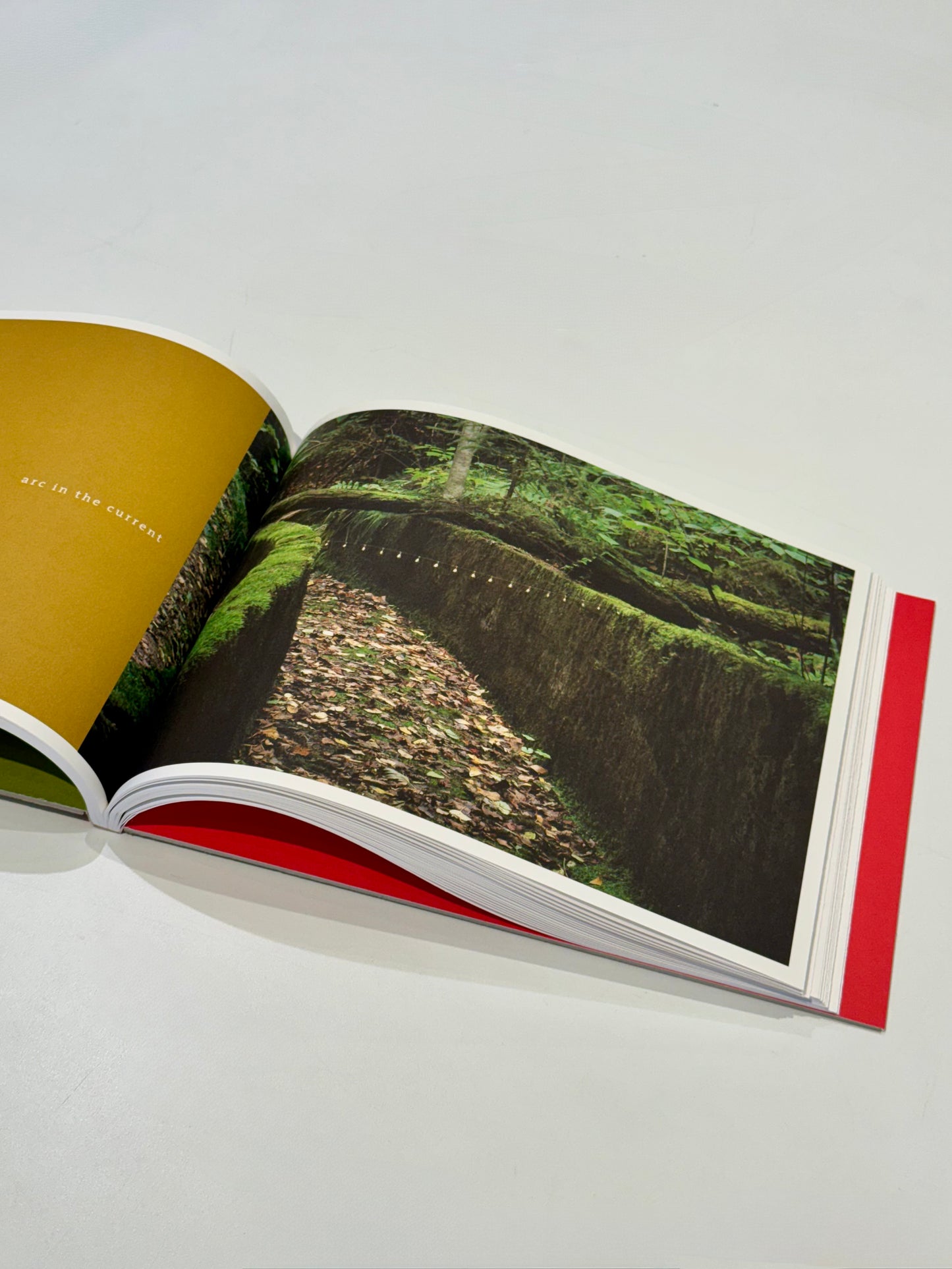 Common Language: Punctuating the Landscape - Suzi Davidoff and Rachelle Thiewes