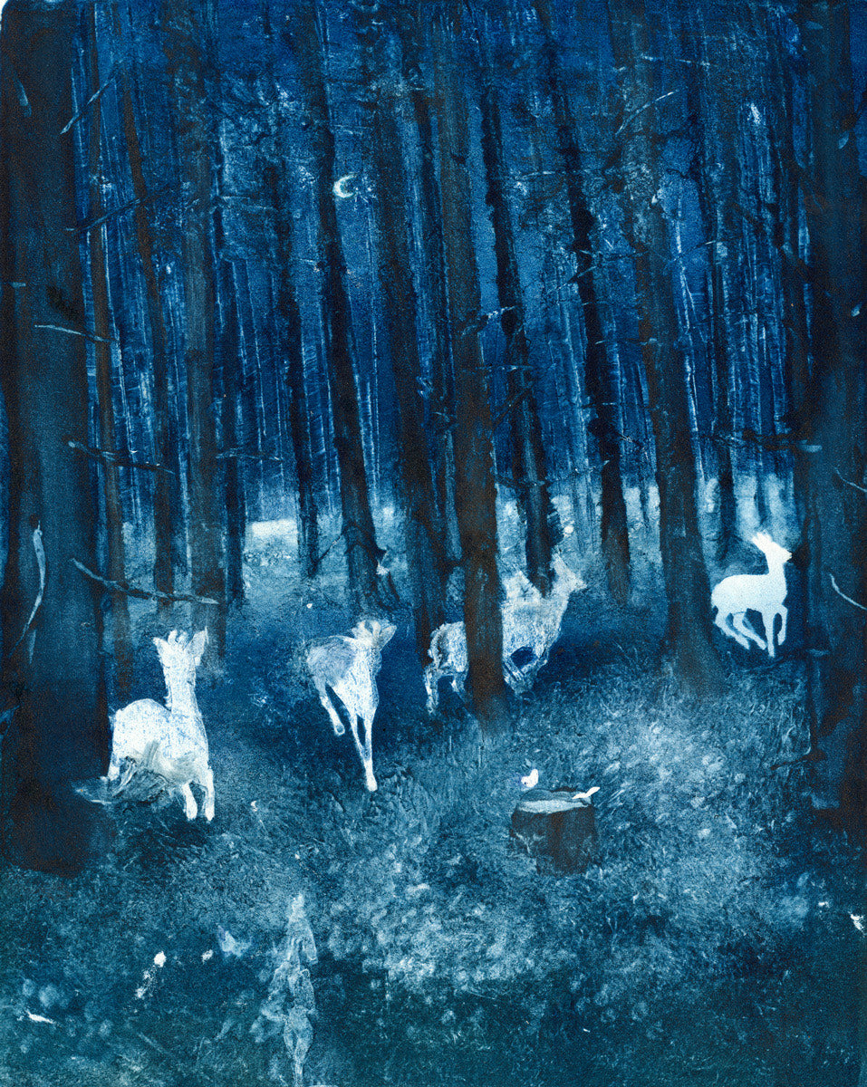 Monotyping - Fast Forward, Pause, Rewind, Play | January 24 - 25th, 2026