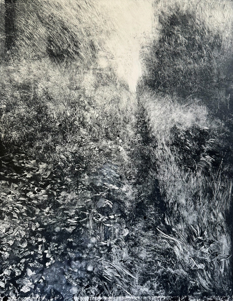 Monotyping - Fast Forward, Pause, Rewind, Play | January 24 - 25th, 2026