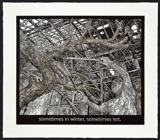 Briggs, Alice Leora   * "Sometimes In Winter, Sometimes Not, from THE ROOM