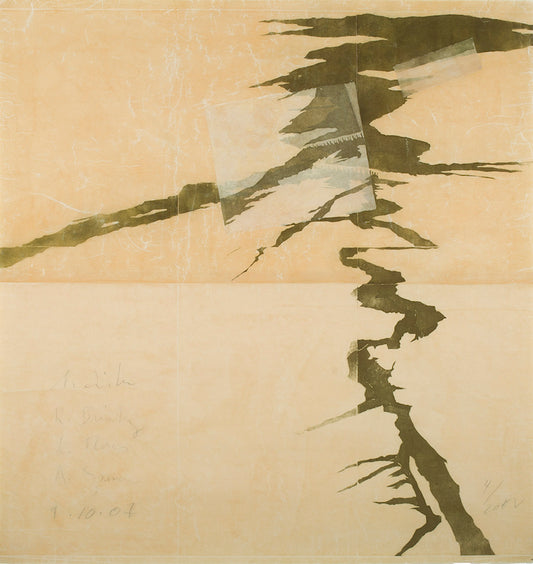 Fidler, Spencer "Platte Fault 4"