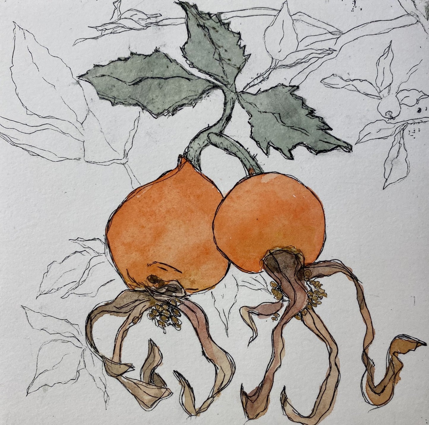 Maryellen Quarles "Sucia Island Rosehips"
