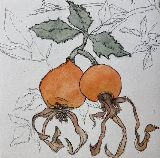 Maryellen Quarles "Sucia Island Rosehips"