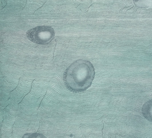 Ward, Liz   •  "Ice Core"