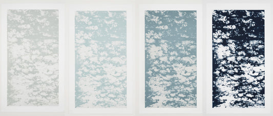 Winter, Joan W. "Deep,  A Suite of Four Etchings"