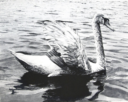 To Dream More, To Dream All the Time